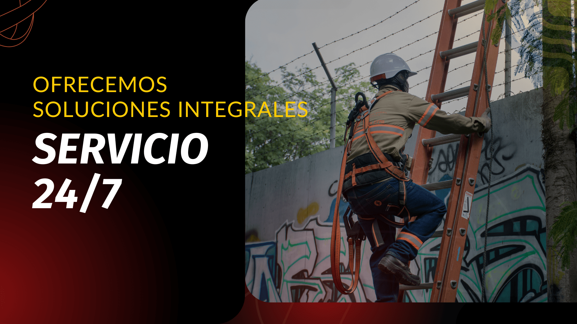 Copy of banner web arango (Video) (1)